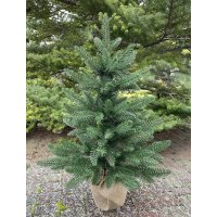 Ялинка лита "Classic" зелена в горщику 0,7 м